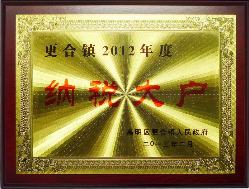2012纳税大户(2012年)